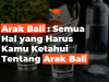 Arak Bali : Semua Hal yang Harus Kamu Ketahui Tentang Arak Bali