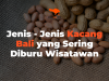 Jenis - Jenis Kacang Bali yang Sering Diburu Wisatawan