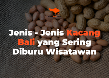 Jenis - Jenis Kacang Bali yang Sering Diburu Wisatawan